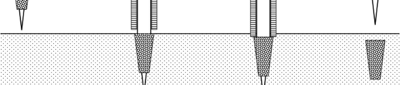 #65 - March 2016 Nemaura Figure 2