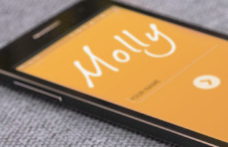 COMPANY SHOWCASE: SHL