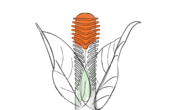 JOCHEN RATJEN, SHL GROUP
