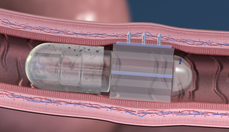#69 Jul2016 ONdrugDelivery Rani Featured