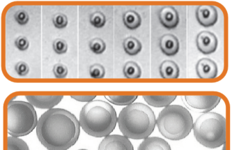 SINGLE-STEP FUNCTIONAL COATINGS FOR INCREASED EFFICIENCIES