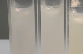 EXCIPIENT SELECTION FOR OPHTHALMIC OINTMENTS