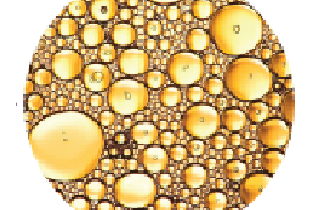 METHODOLOGIES FOR DEVELOPING s-SEDDS