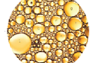 #69 July 2016 Oral - ABITEC Featured Image