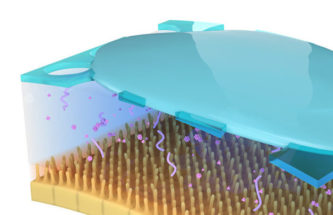 AQUEOUS-FREE OPHTHALMIC DELIVERY TECHNOLOGY