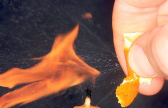 CITRUS FRUITS INSPIRE THE NEXT GENERATION OF AIRBORNE DRUG DELIVERY