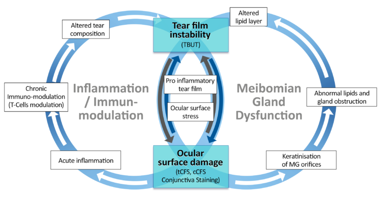 BREAKING THE VICIOUS CIRCLE OF DRY EYE DISEASE - ONdrugDelivery