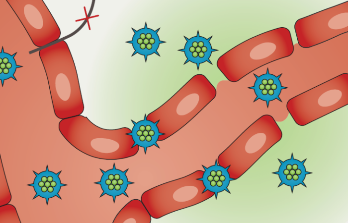 #97_2019_Cristal_featured