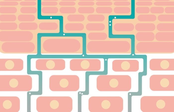 #100 Gattefosse featured