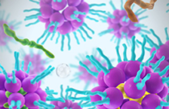 Development of IMV’s DPX-COVID-19 Vaccine Progresses Apace