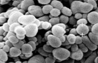 LEADING PHARMACEUTICAL DEVELOPMENT IN A SUSTAINABLE WAY – SKYEPHARMA’S EXAMPLE