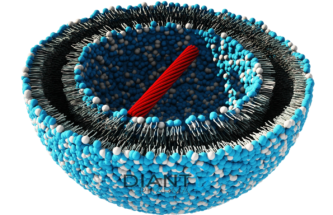 ENHANCED PROCESS CONTROL FOR LIPID-BASED NANOPARTICLES: LNPS AND LIPOSOMES