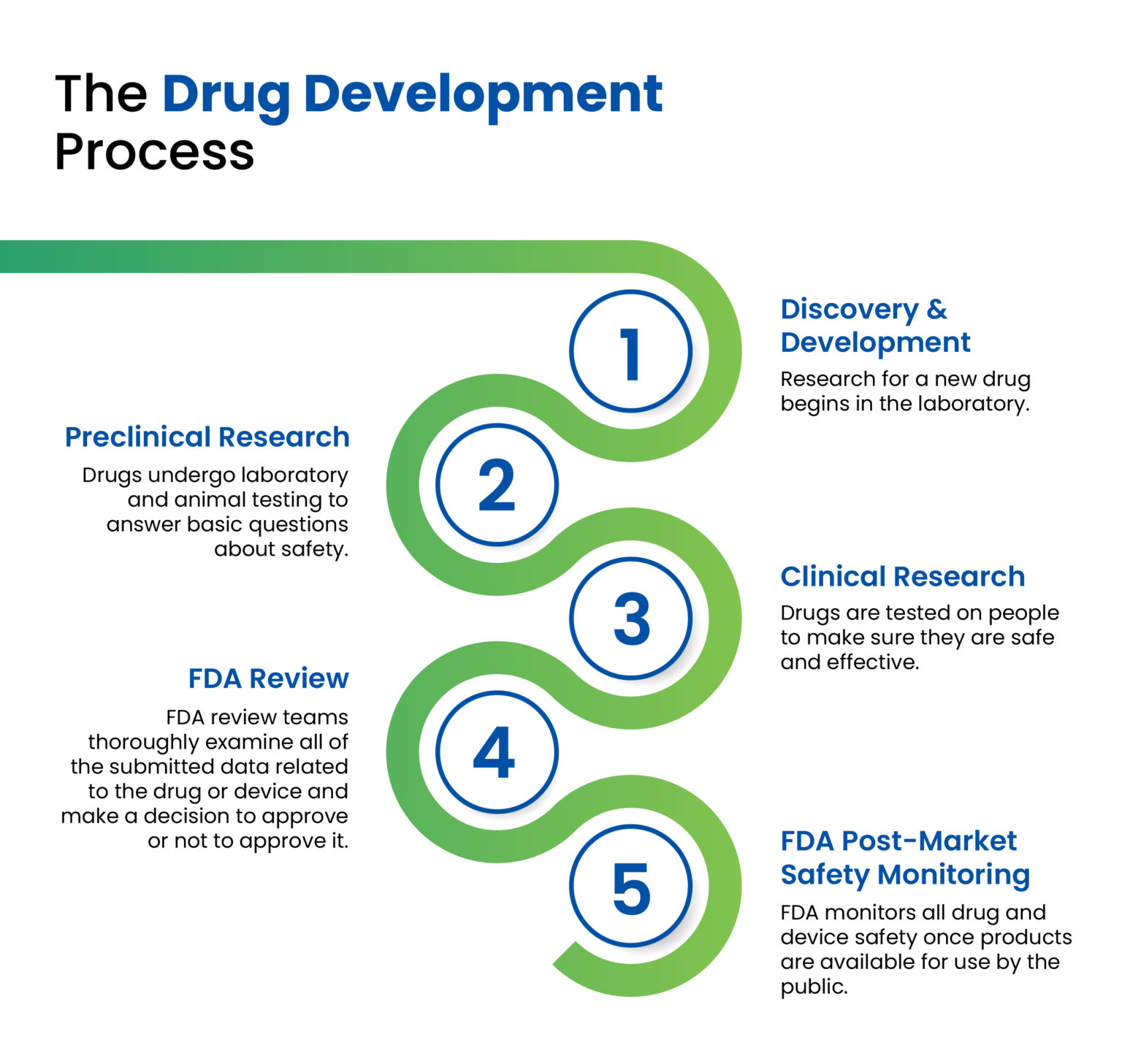 drug development hypothesis