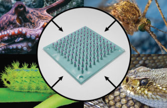 THE NEXT GENERATION OF MICRONEEDLES: HARNESSING A BILLION YEARS OF EVOLUTION