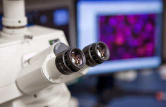 EXPLORING EXTRACTABLE AND LEACHABLE TESTING STRATEGIES FOR PARENTERALS