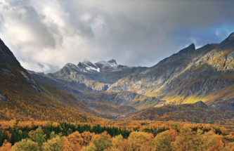 PHARMACEUTICAL INDUSTRY SUSTAINABILITY TARGETS, ONE YEAR ON