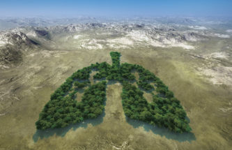 The Transition to Lower-Global-Warming-Potential Propellants in pMDIs