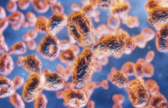ANTIBODY-DRUG CONJUGATES: AN EMERGING FRONTIER IN IV TO SC CONVERSION
